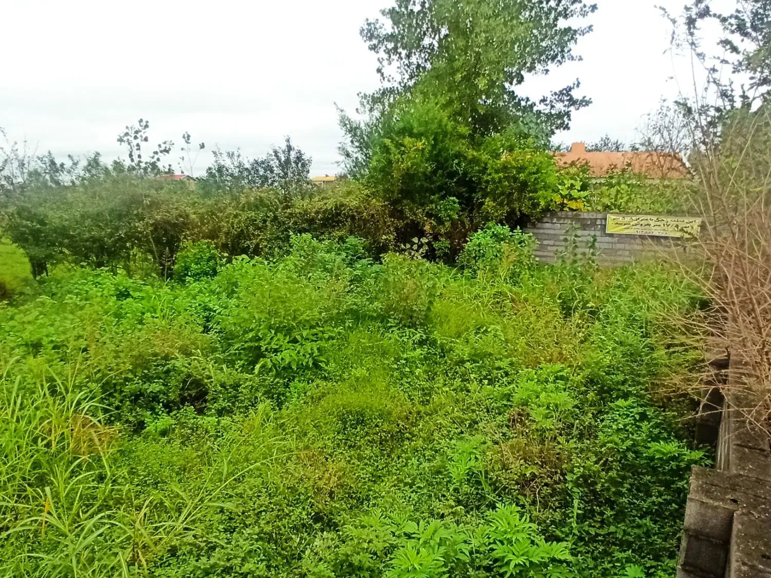 تصویر املاک 5564