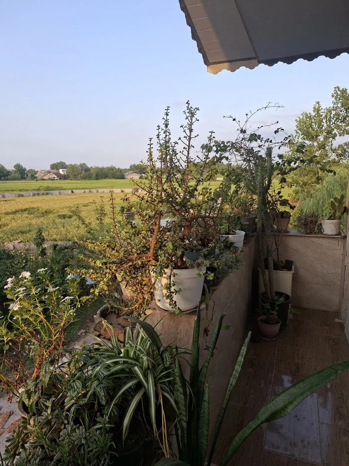 تصویر املاک 132581