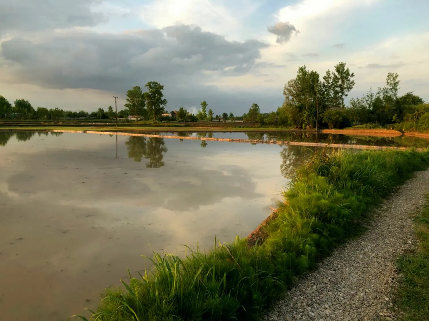 تصویر املاک 90228