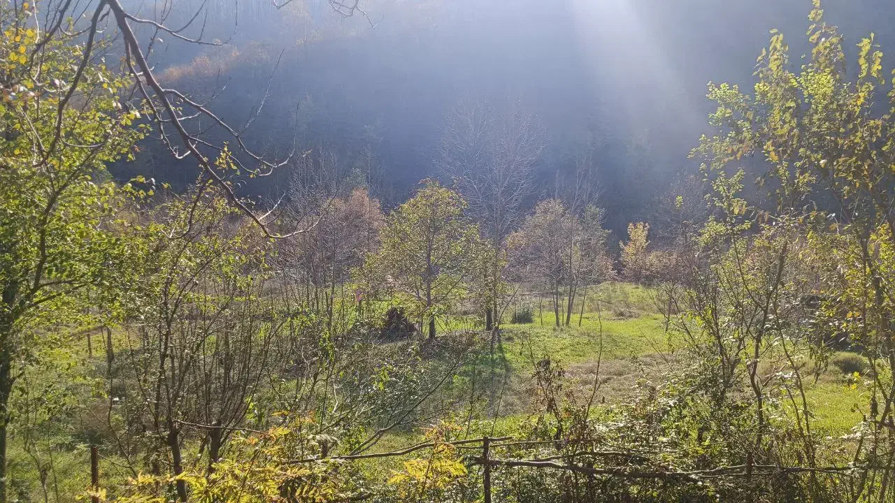 تصویر املاک 4899