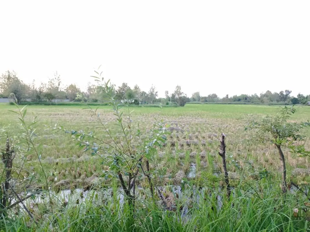 تصویر املاک 128037