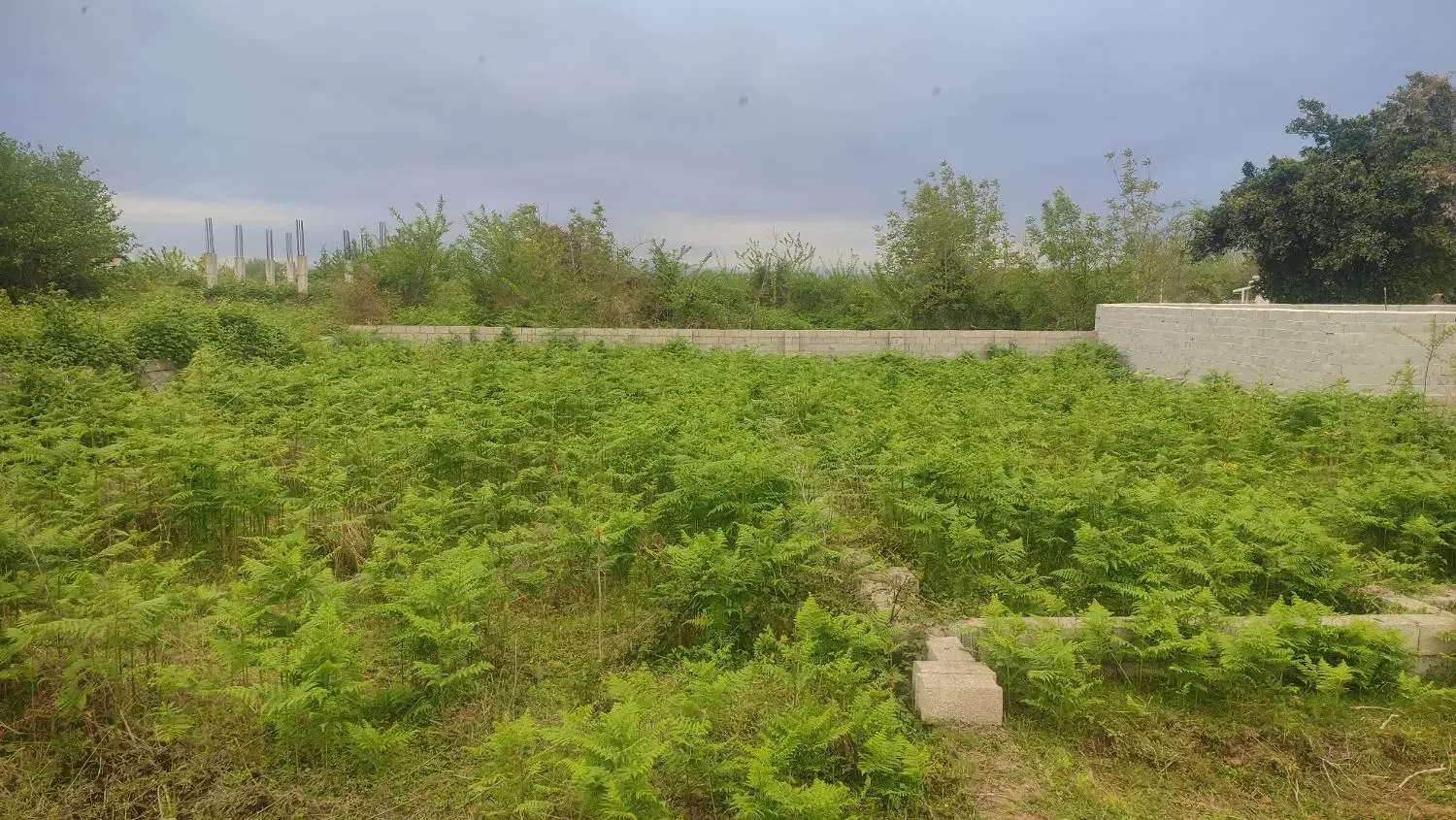تصویر املاک 36539