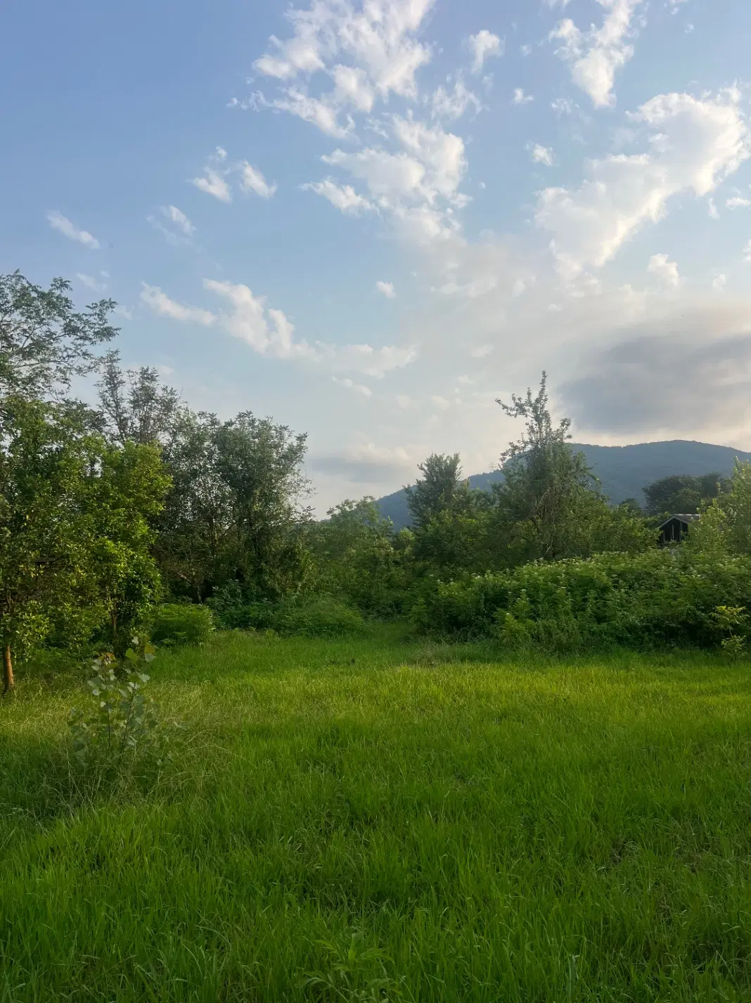 تصویر املاک 96793