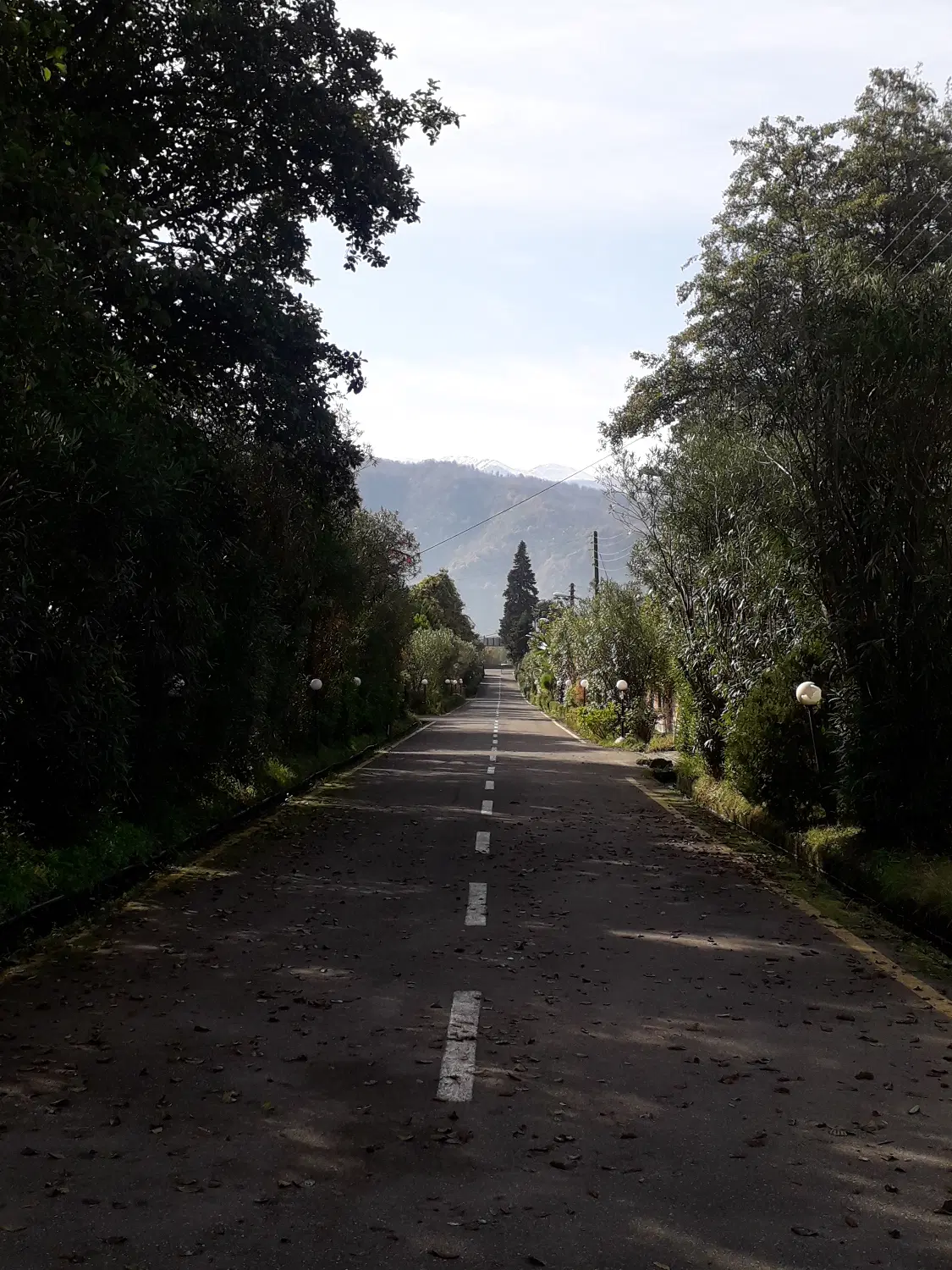 تصویر املاک 140935