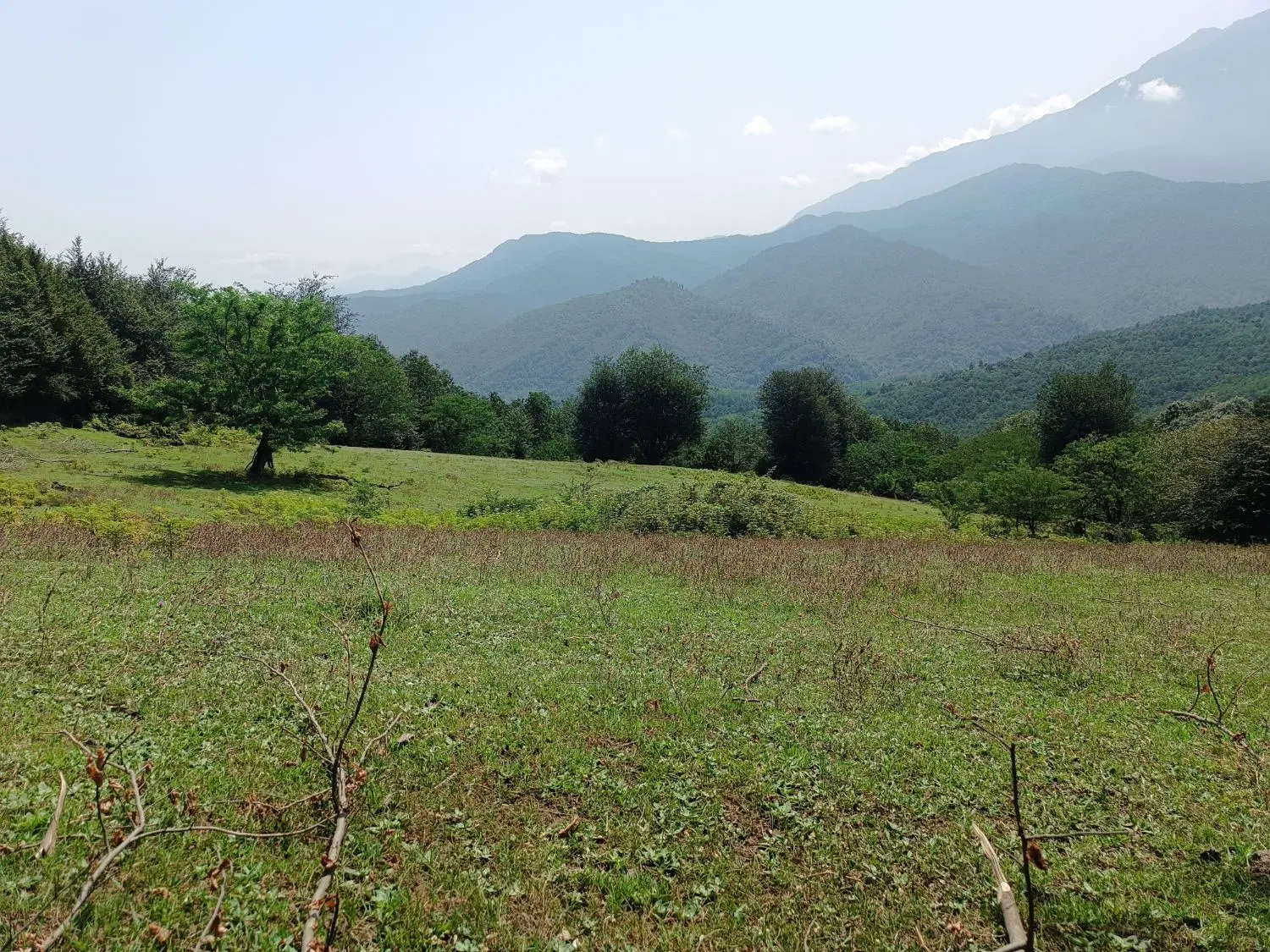 تصویر املاک 134191