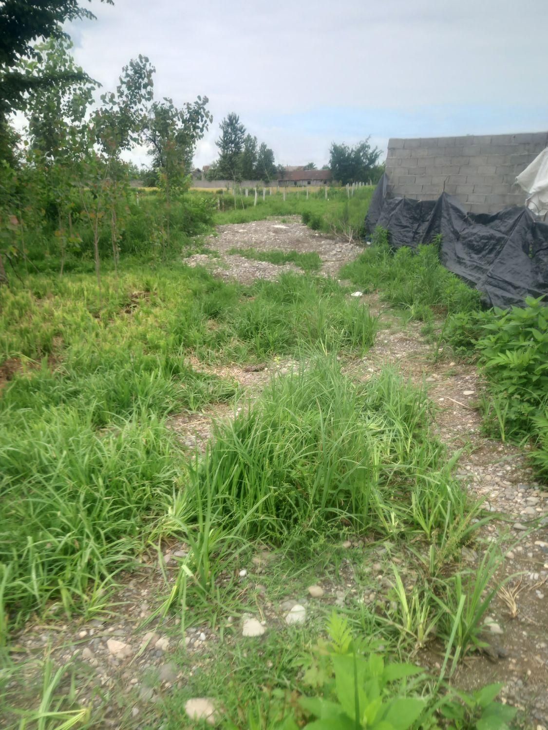 تصویر املاک 22657