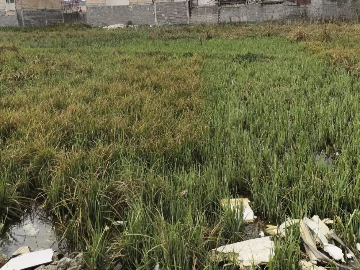 تصویر املاک 56631