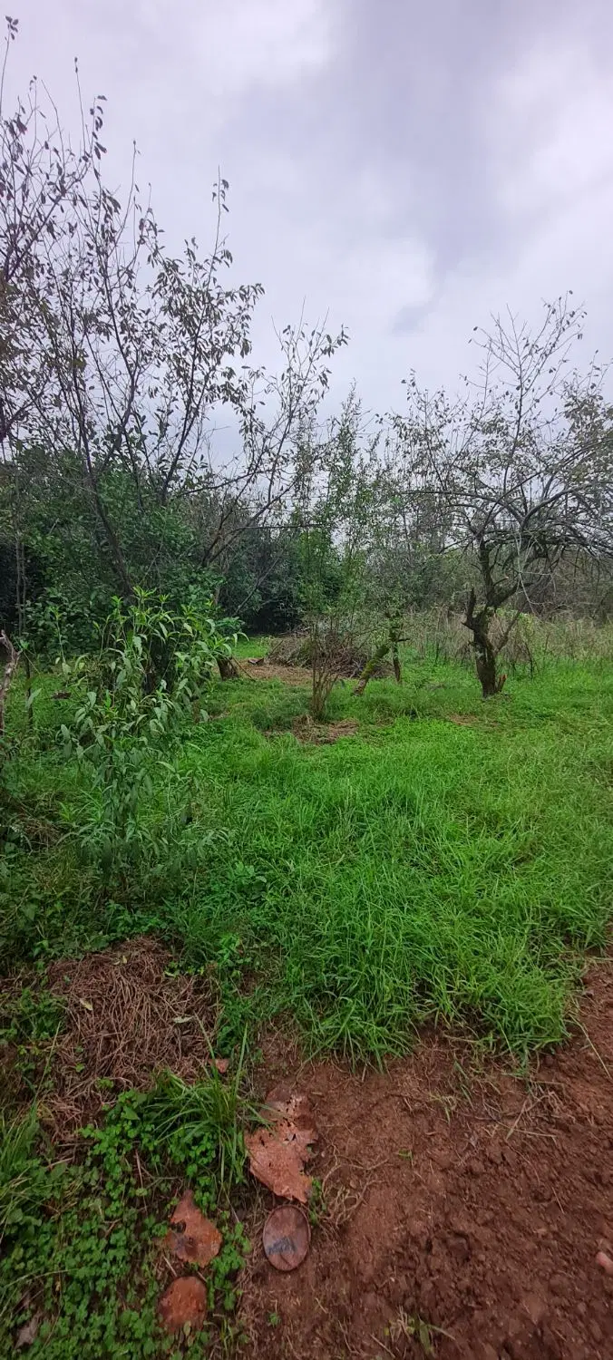 تصویر املاک 133778