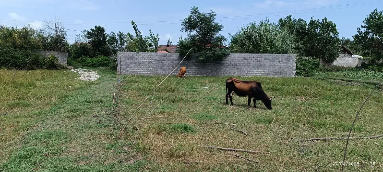 تصویر املاک 4061