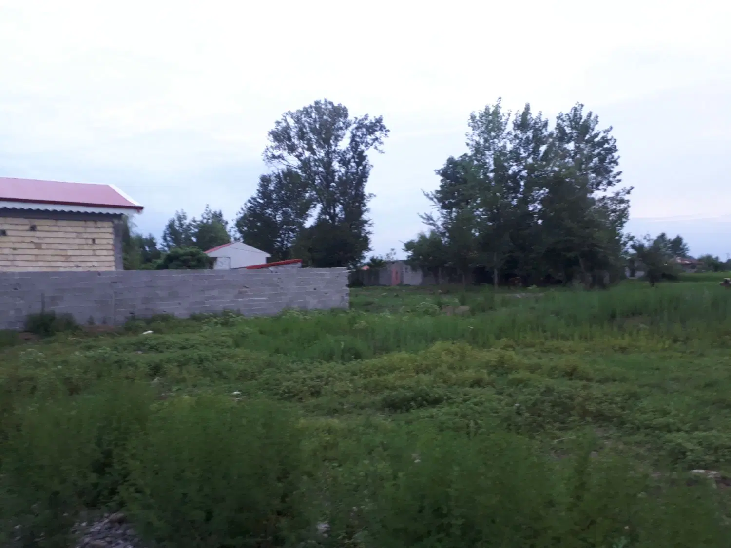 تصویر املاک 136699
