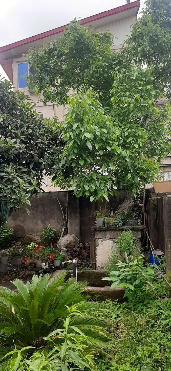 تصویر املاک 27202