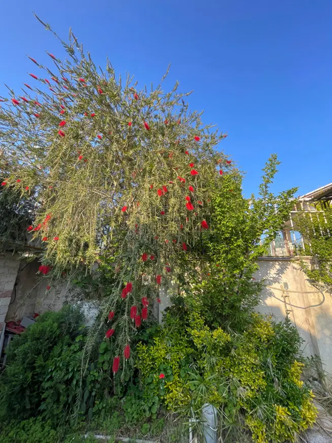 تصویر املاک 70386