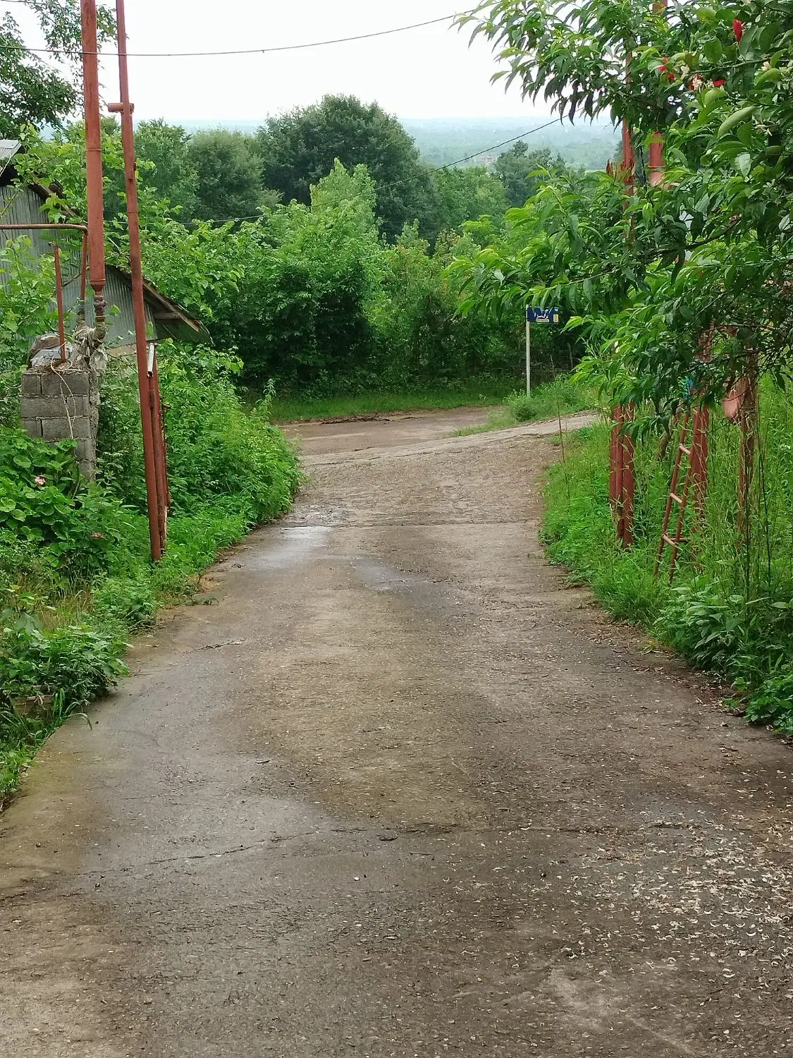 تصویر املاک 57038