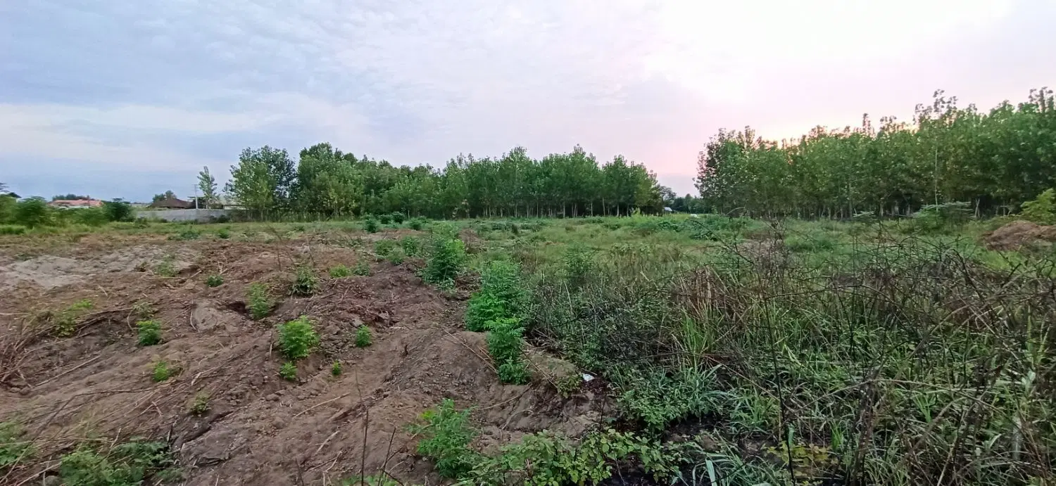 تصویر املاک 134156