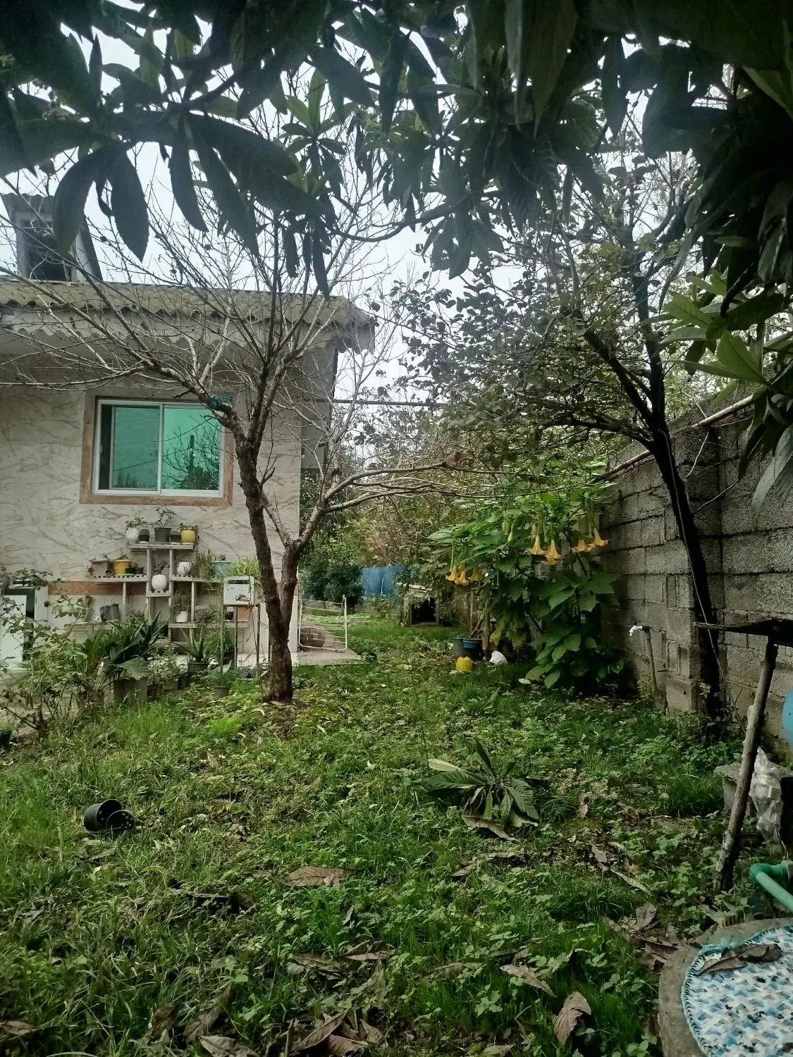 تصویر املاک 8033