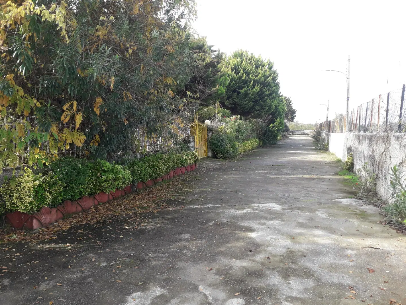 تصویر املاک 140936