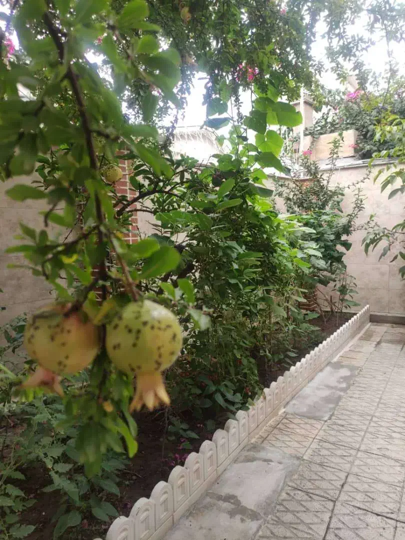تصویر املاک 20160