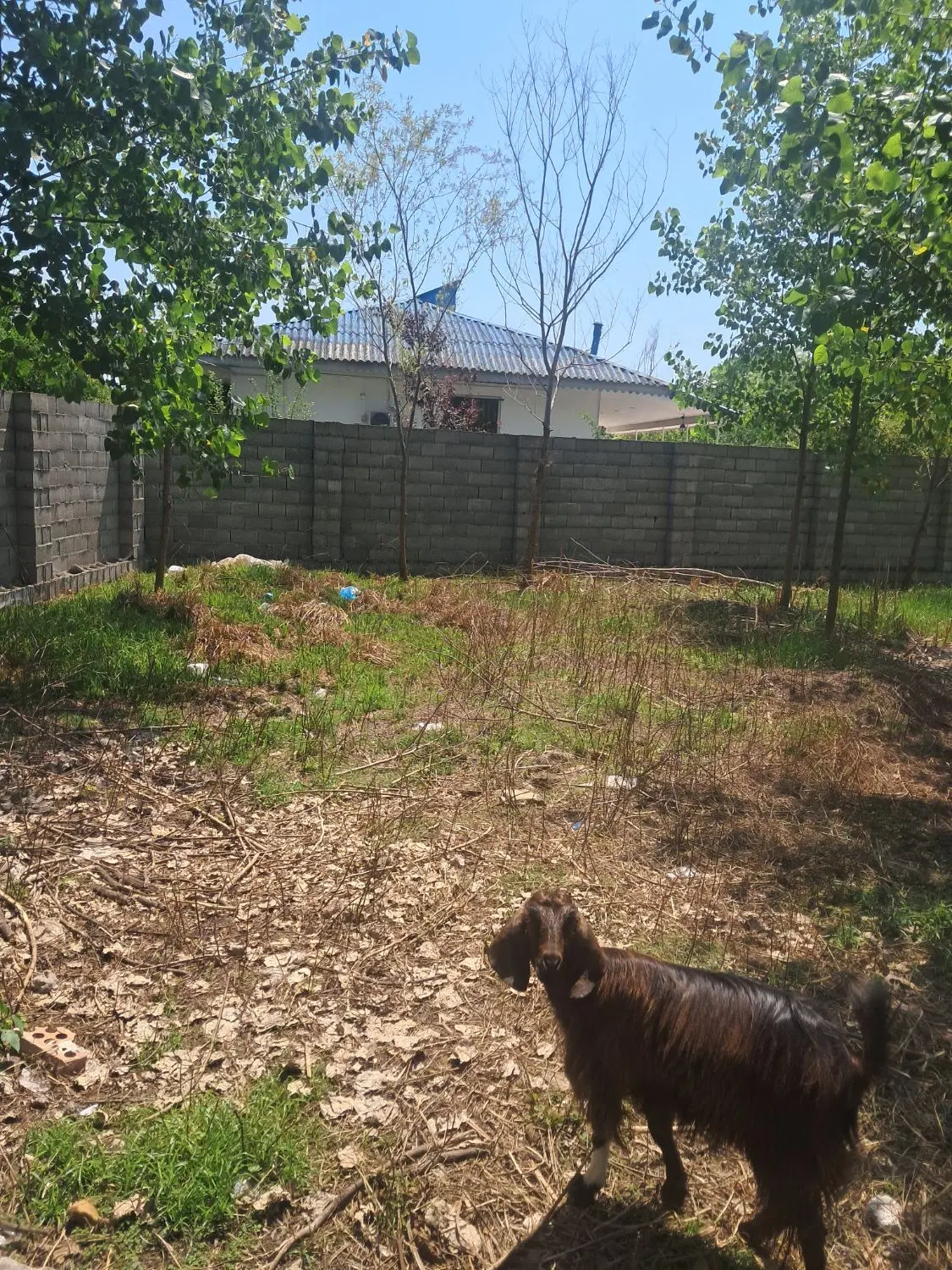 تصویر املاک 120402