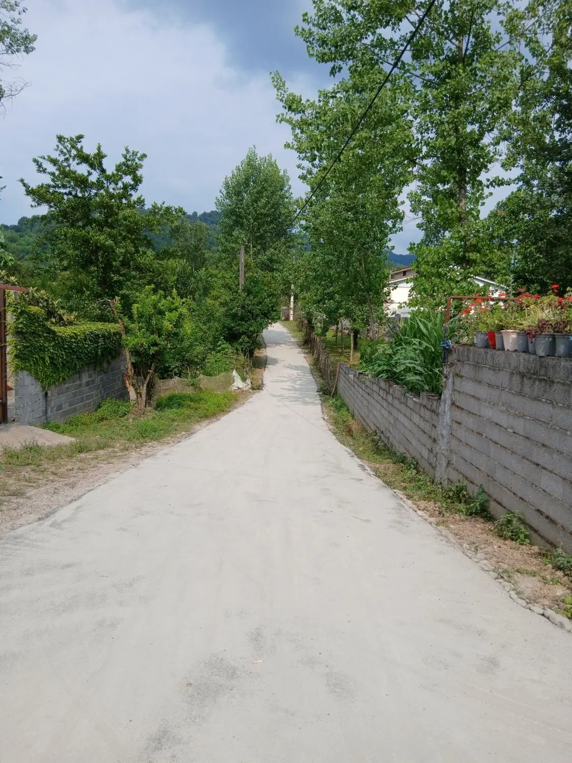 تصویر املاک 133652
