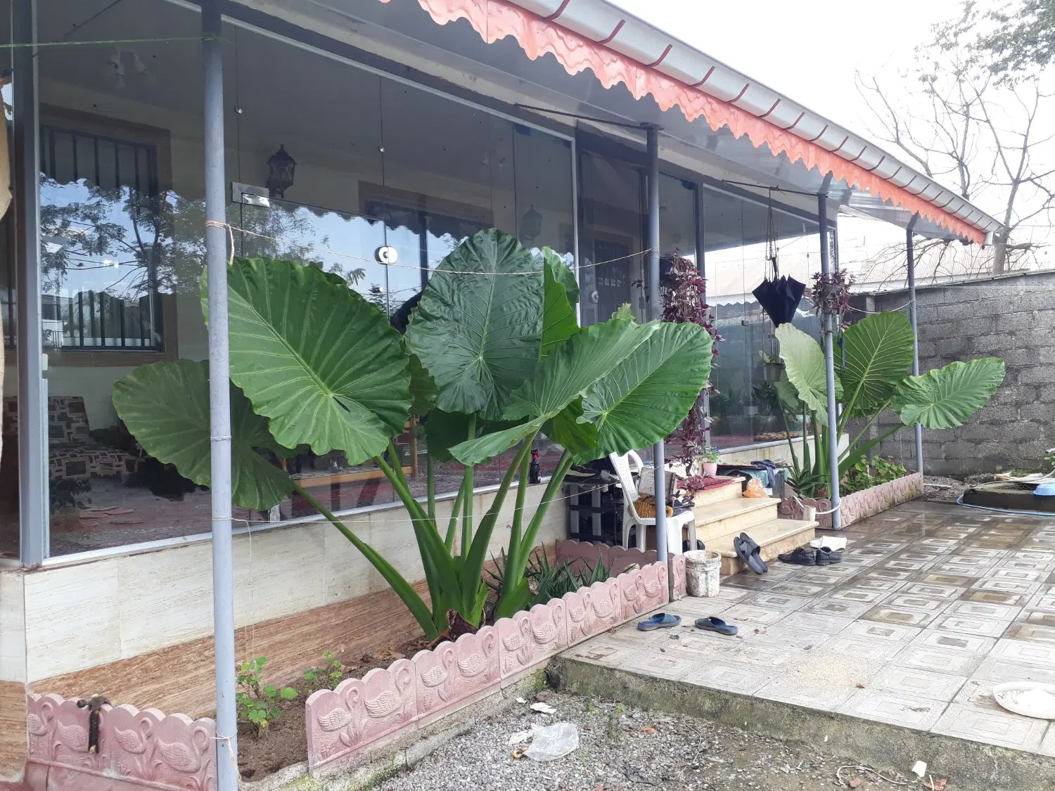 تصویر املاک 53581