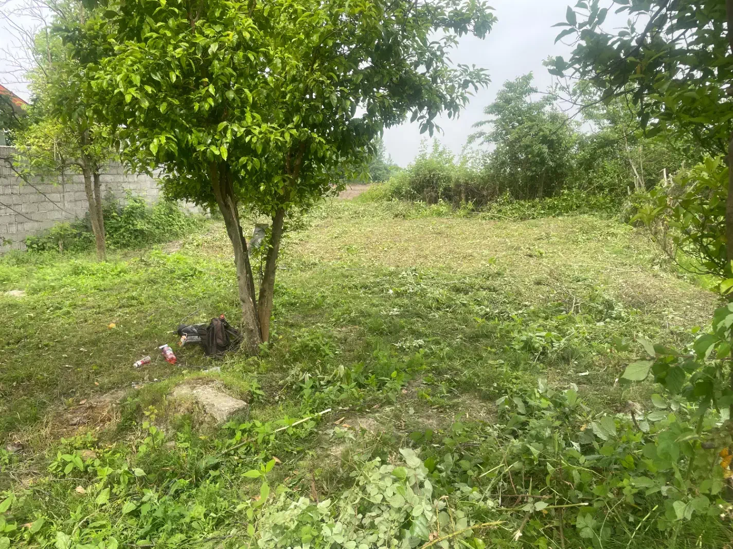 تصویر املاک 5540