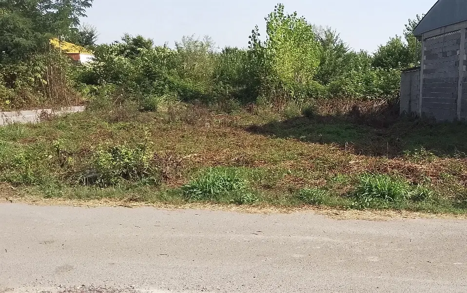 تصویر املاک 80360