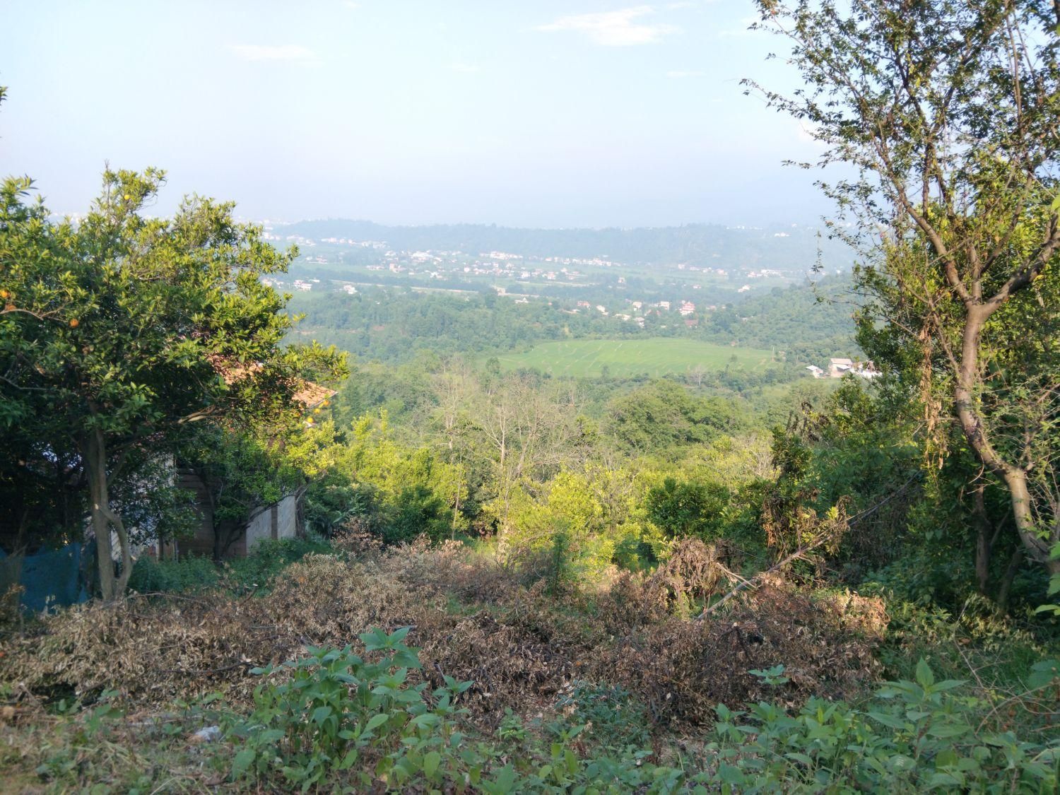تصویر املاک 5903