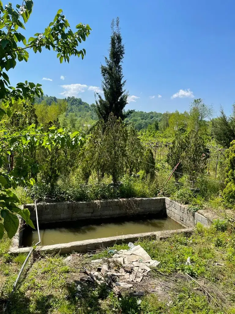 تصویر املاک 69744