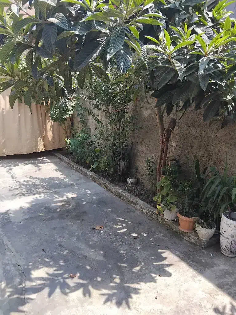 تصویر املاک 49474