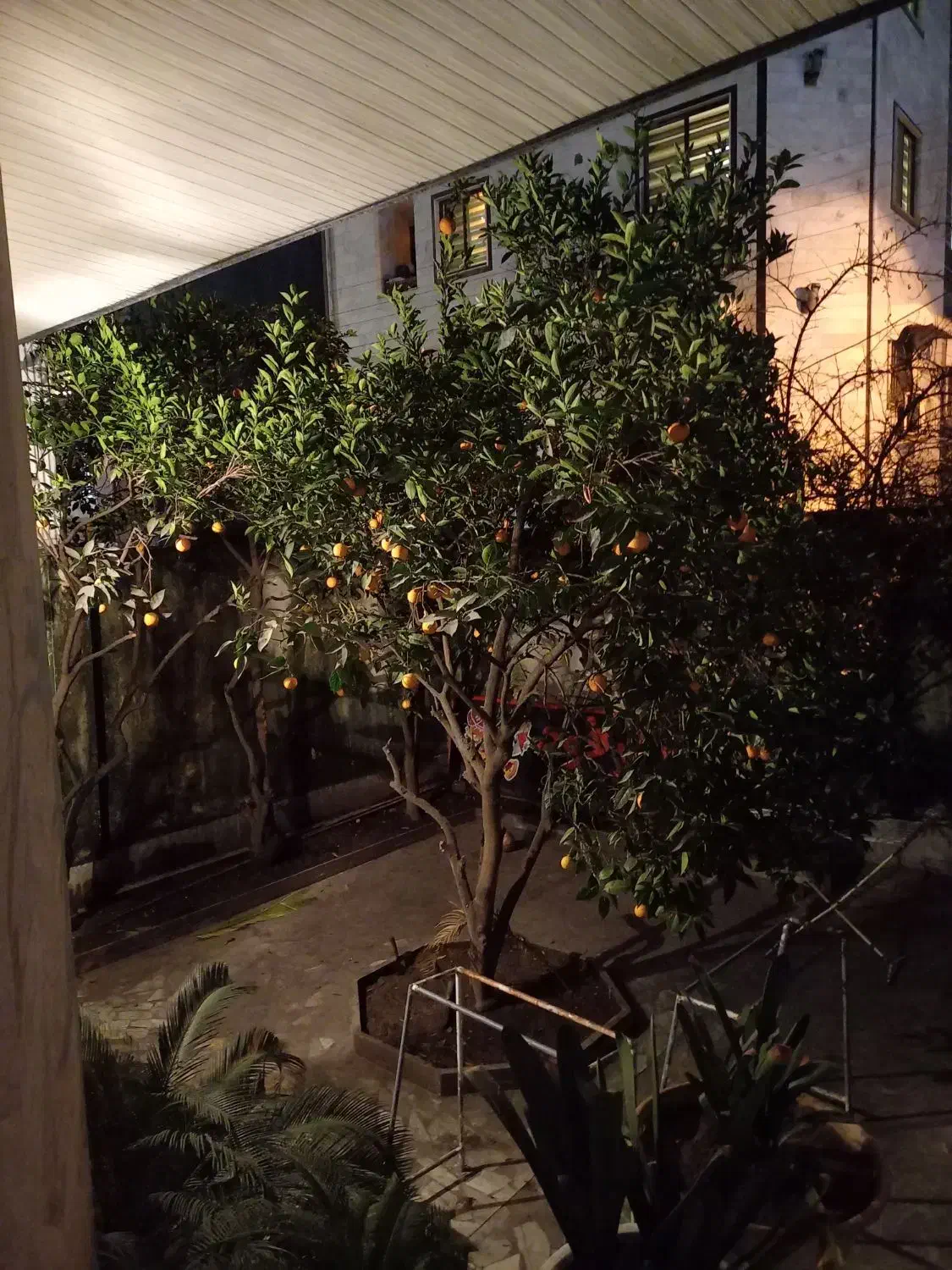 تصویر املاک 27858