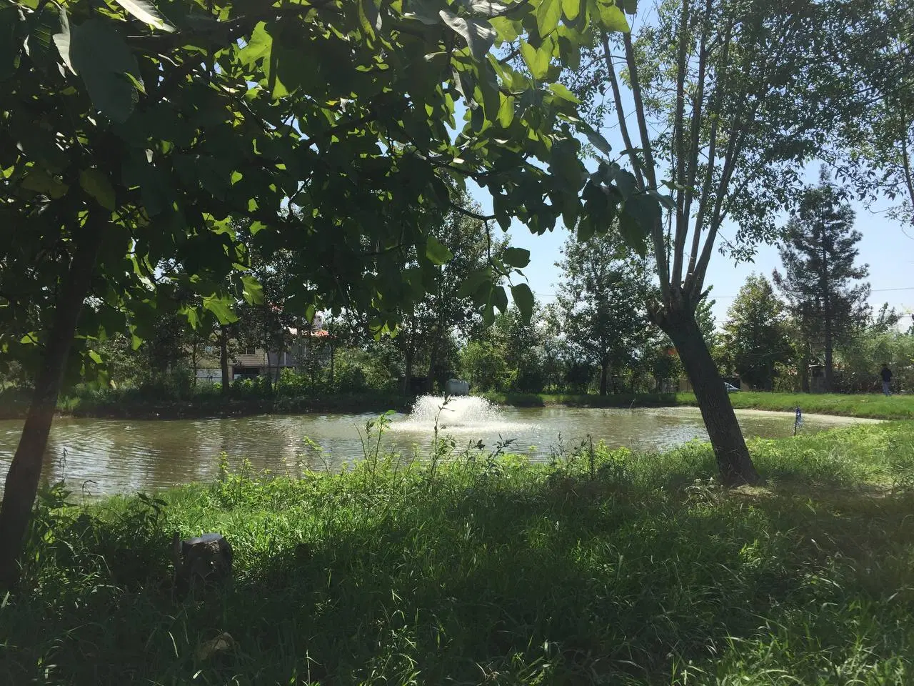 تصویر املاک 81849