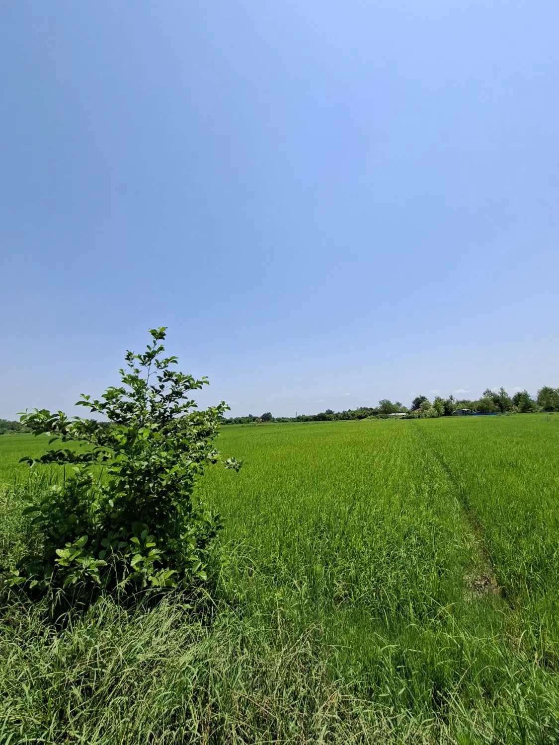 تصویر املاک 90196