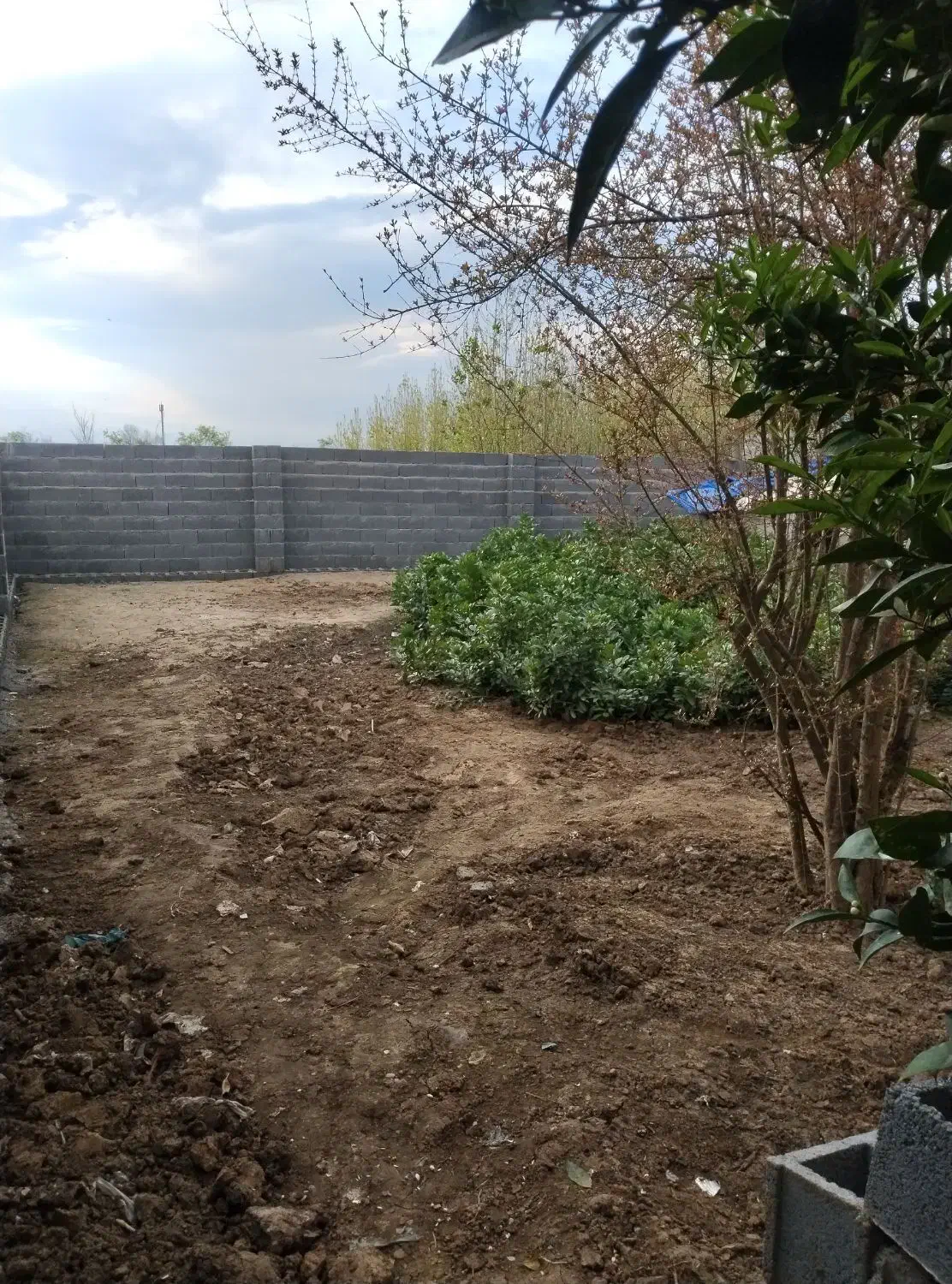 تصویر املاک 35104