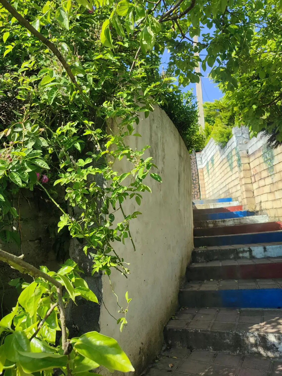 تصویر املاک 95335