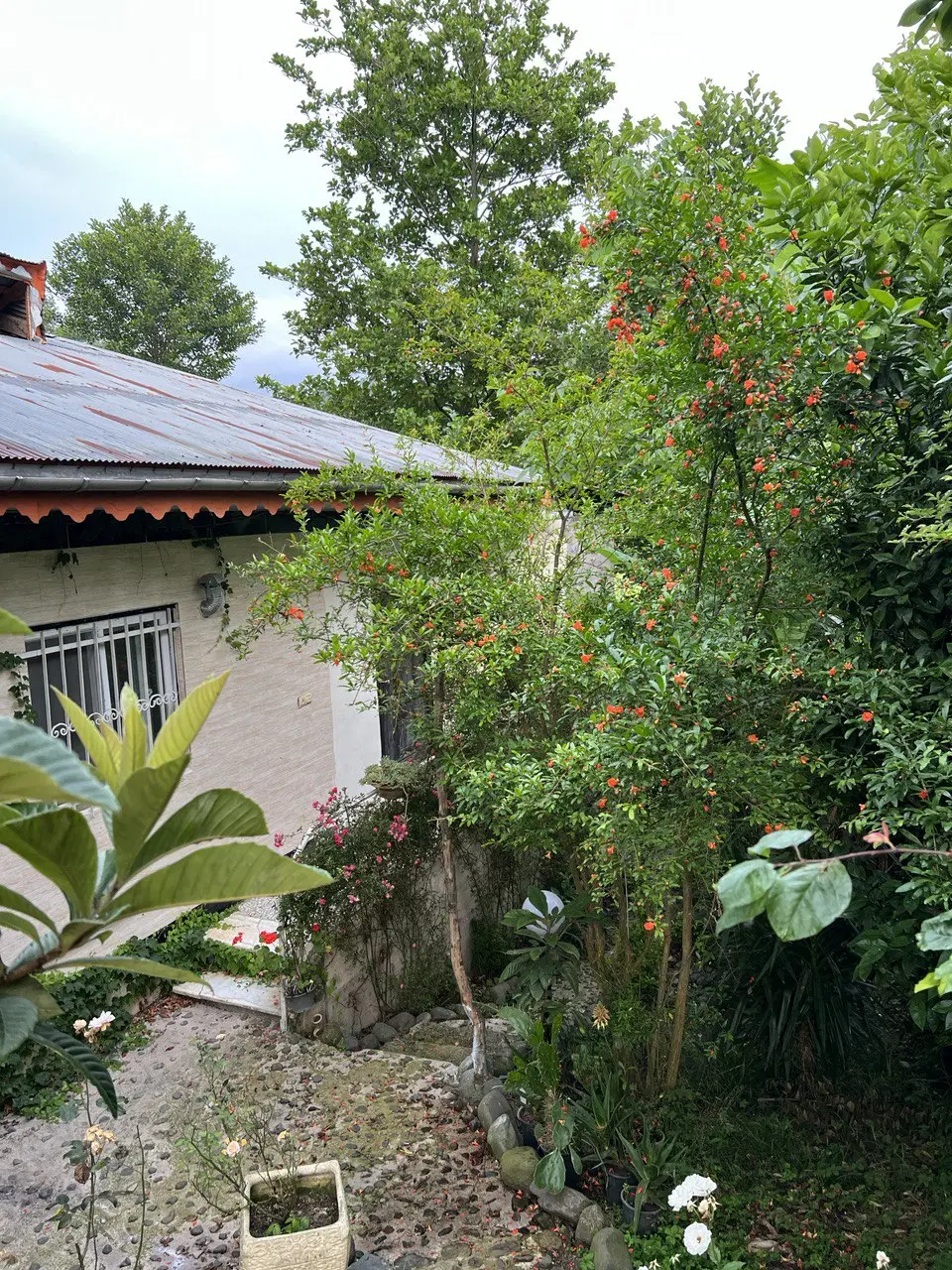 تصویر املاک 64032