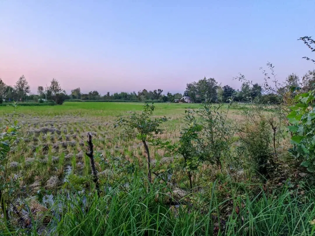 تصویر املاک 128038