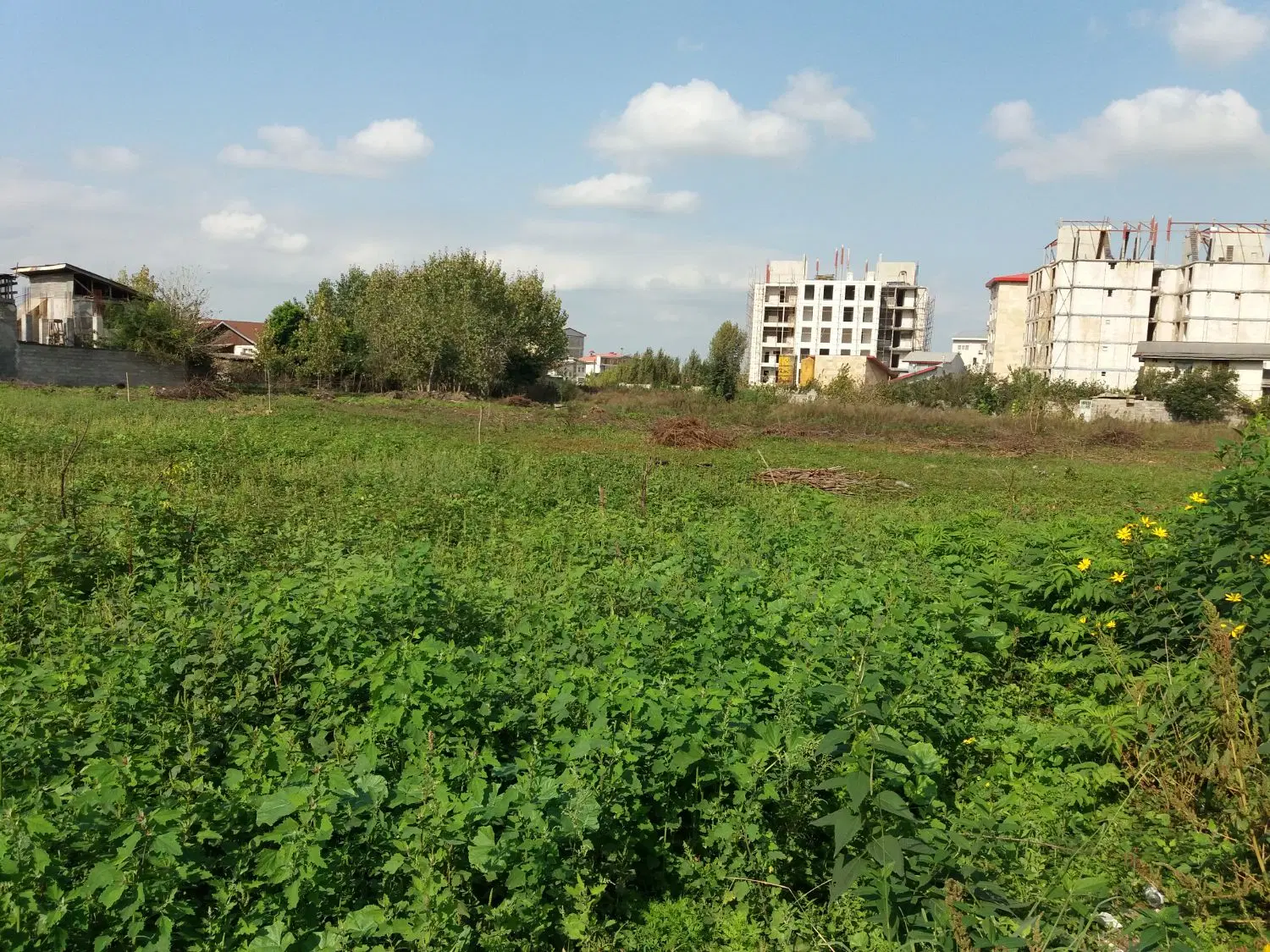 تصویر املاک 127404