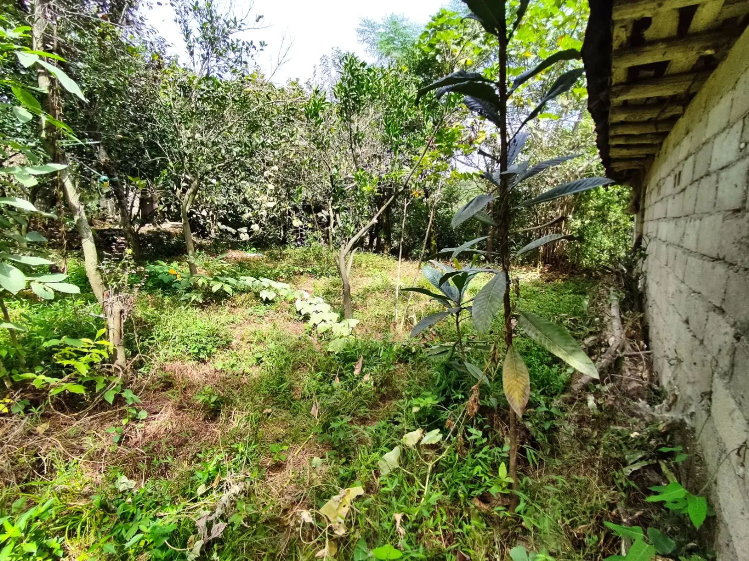تصویر املاک 116854