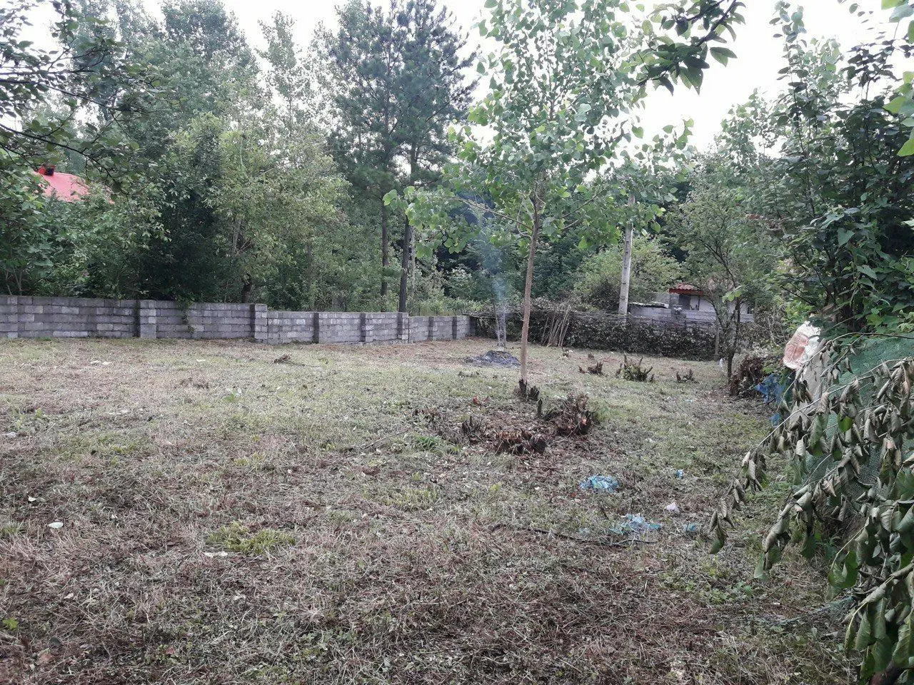 تصویر املاک 111371