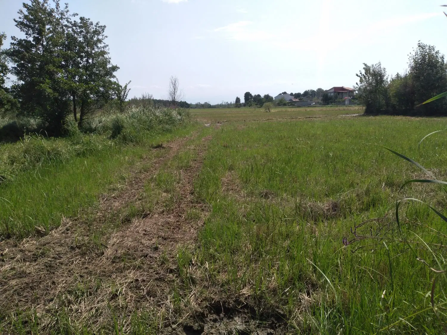 تصویر املاک 110762