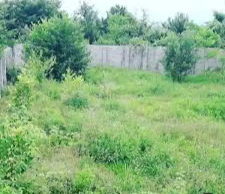 تصویر املاک 39267