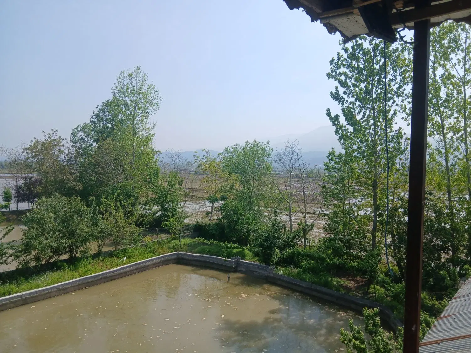 تصویر املاک 131472