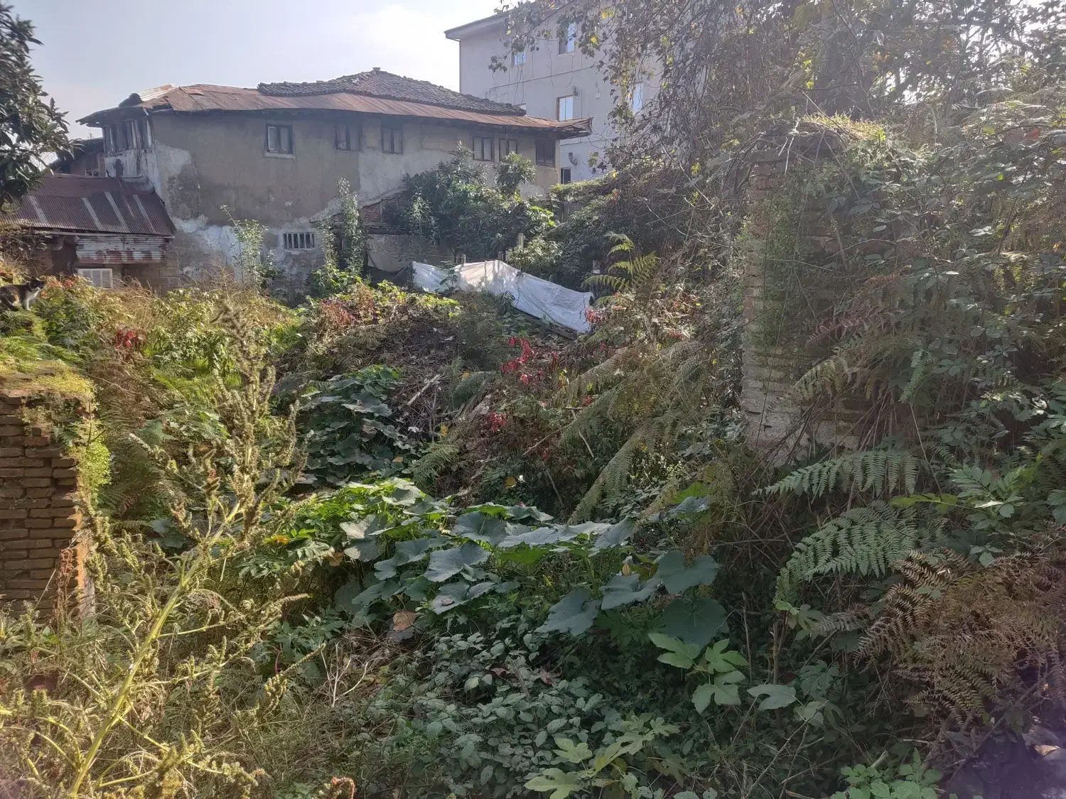 تصویر املاک 15096