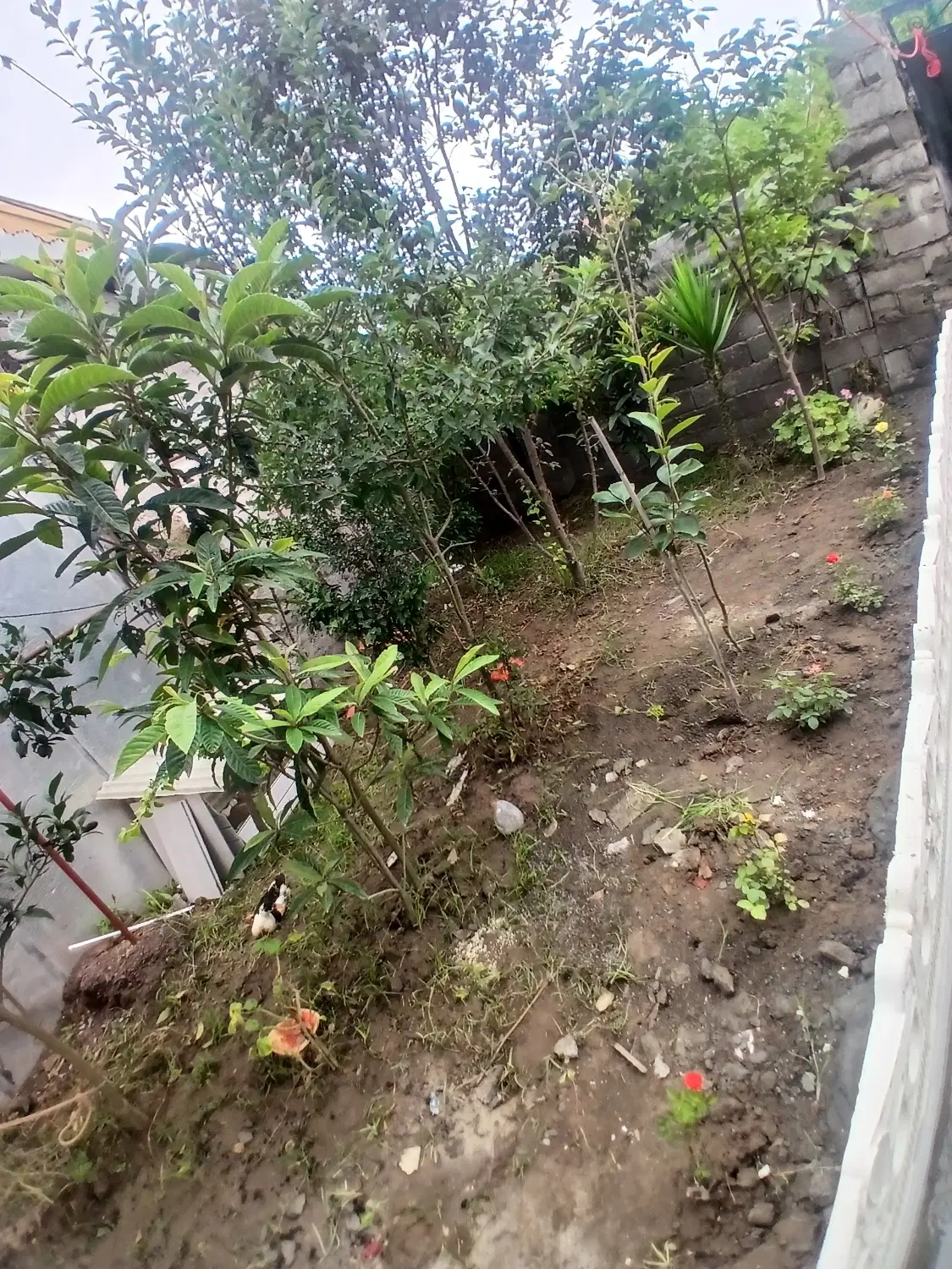 تصویر املاک 65281