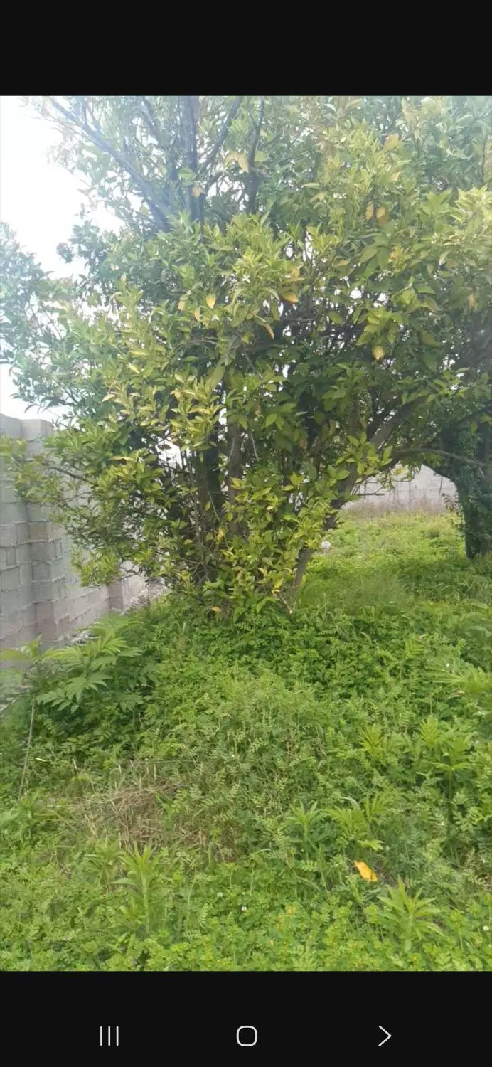 تصویر املاک 121879