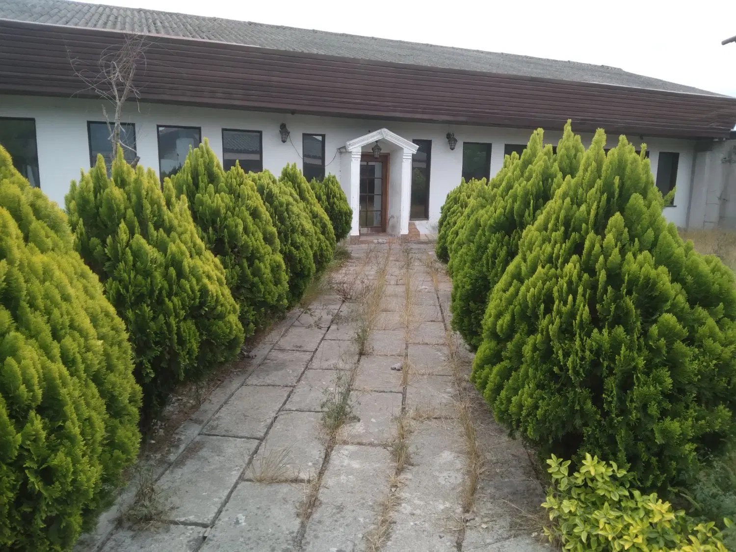 تصویر املاک 82161
