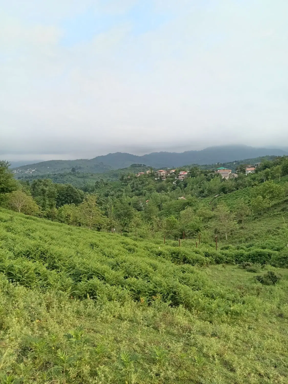 تصویر املاک 44413