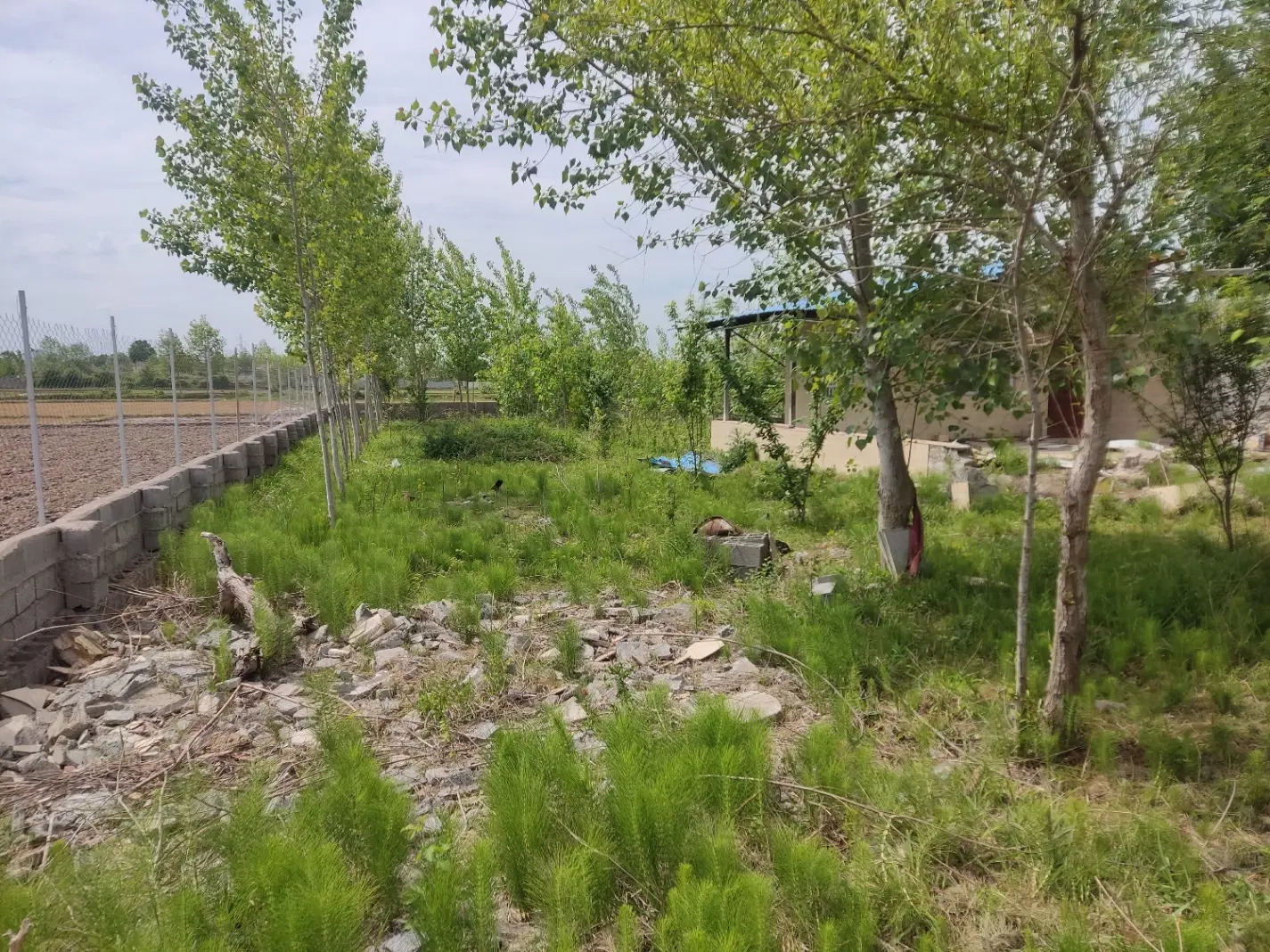 تصویر املاک 118584
