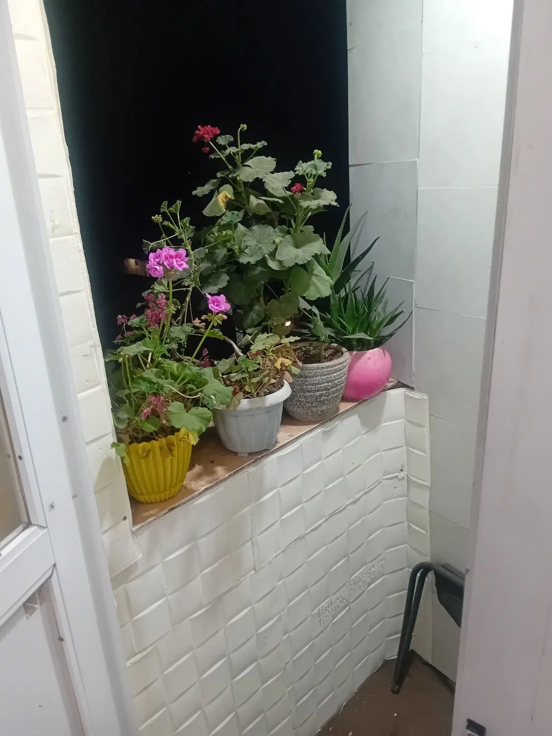 تصویر املاک 56510
