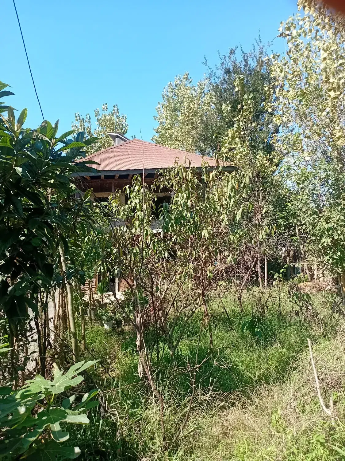تصویر املاک 75965
